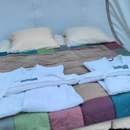 Les Bulles Du Coq De Champagne