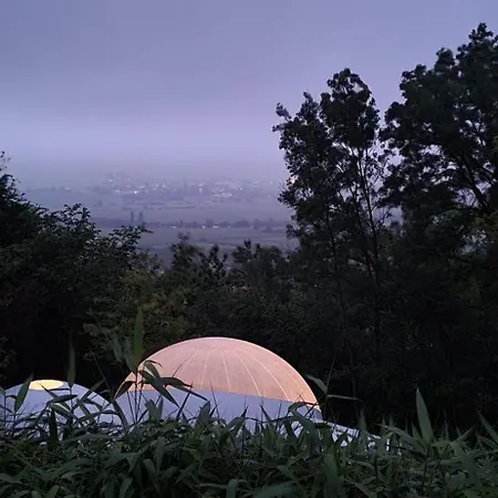 Les Bulles Du Coq De Champagne 3*