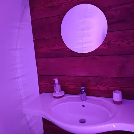 Les Bulles Du Coq De Champagne