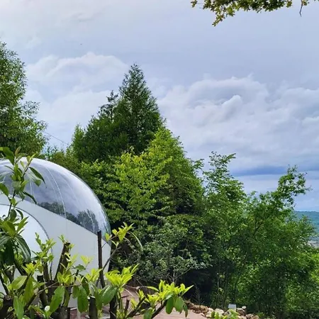 Les Bulles Du Coq De Champagne 3*