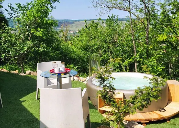 Les Bulles Du Coq De Champagne Campingplads Dormans