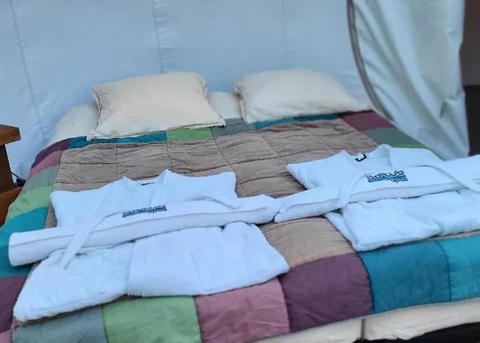 Les Bulles Du Coq De Champagne