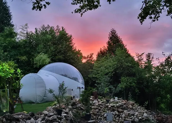 Les Bulles Du Coq De Champagne Dormans