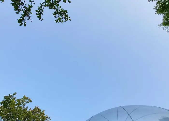 Campingplads Les Bulles Du Coq De Champagne 3*