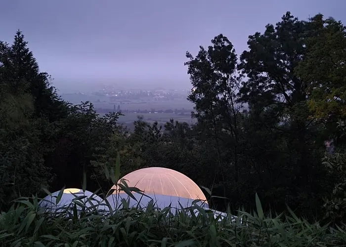 Les Bulles Du Coq De Champagne 3*