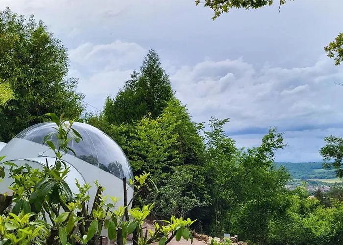 Les Bulles Du Coq De Champagne Dormans