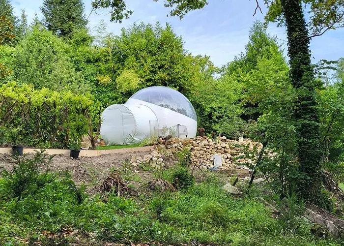 Les Bulles Du Coq De Champagne