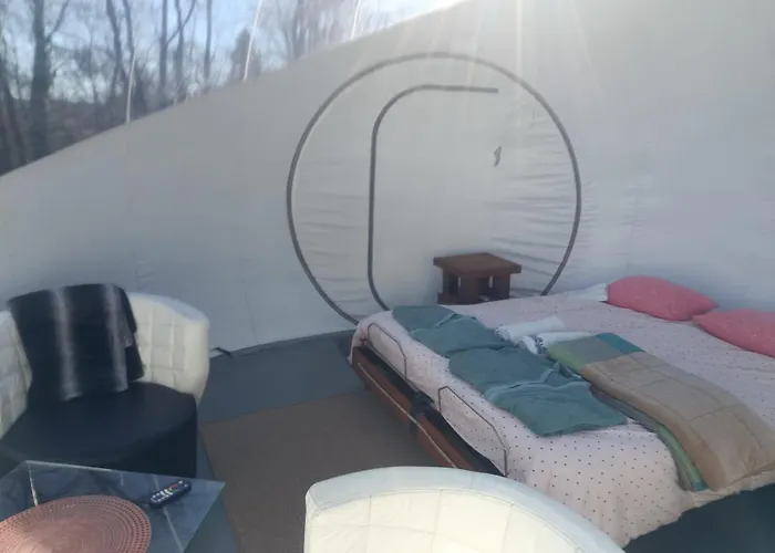 Les Bulles Du Coq De Champagne Dormans