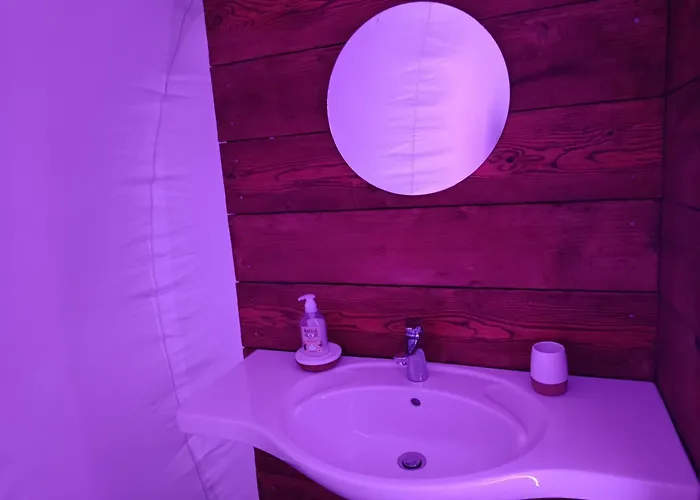 Les Bulles Du Coq De Champagne